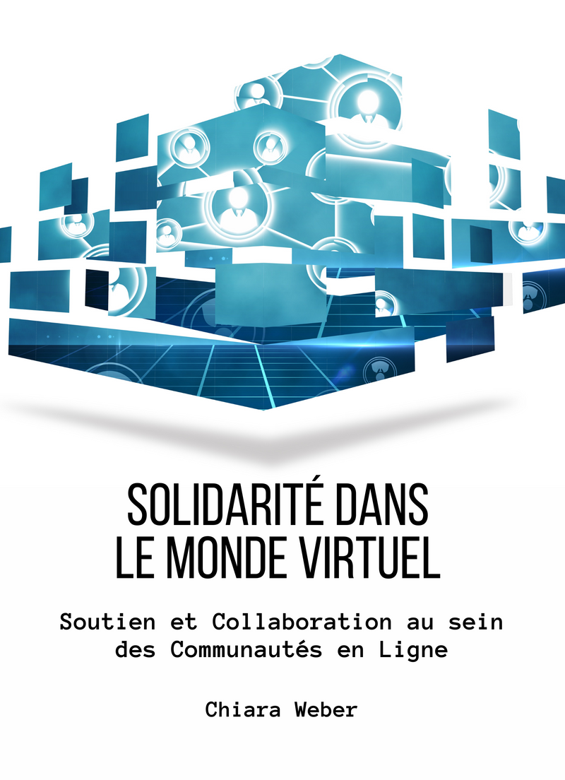 Solidarité dans le Monde Virtuel