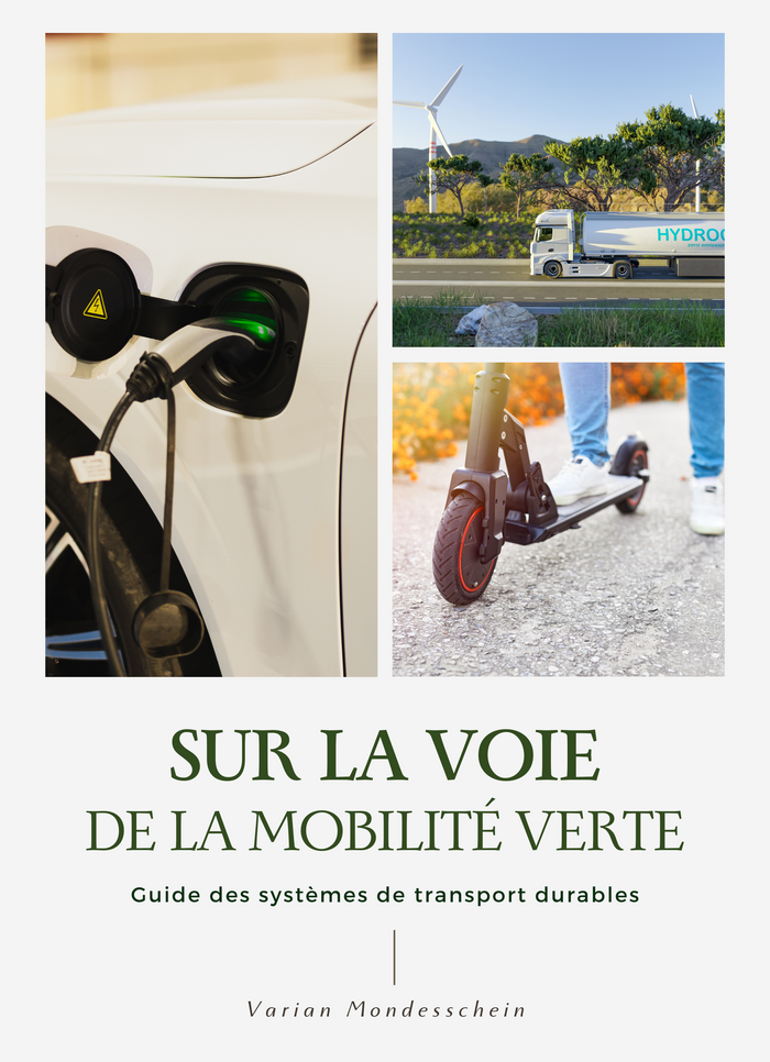 Sur la voie de la mobilité verte