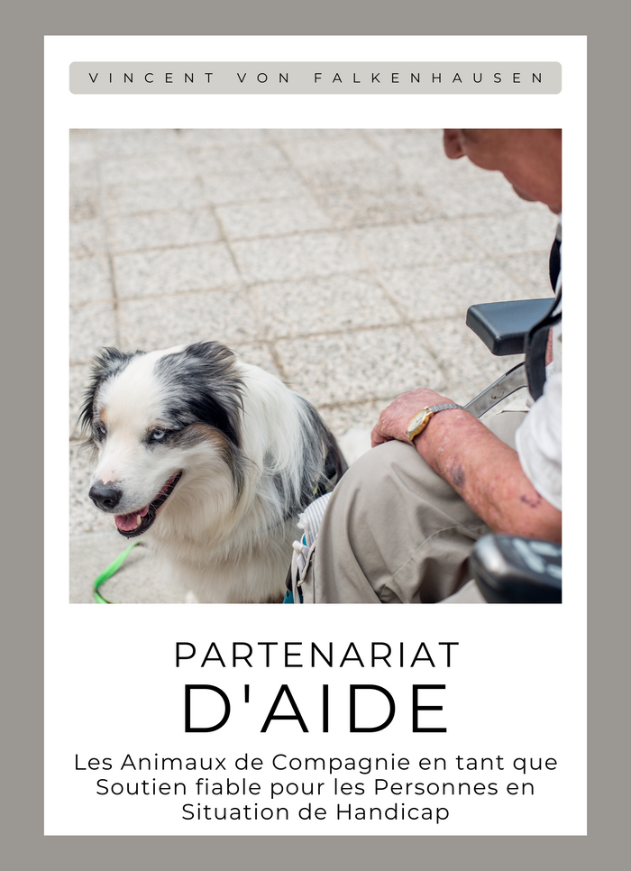 Partenariat d'Aide