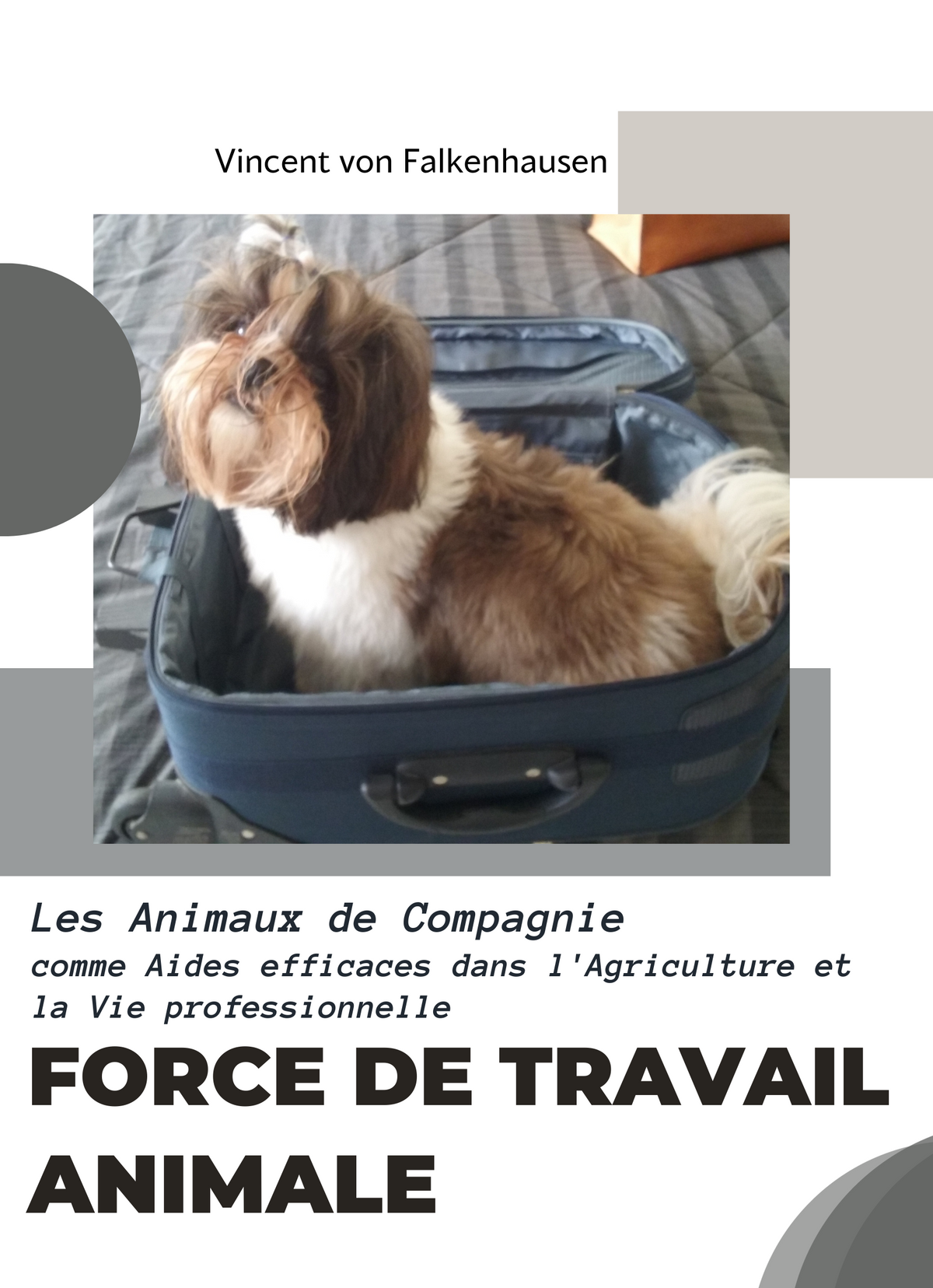 Force de Travail animale