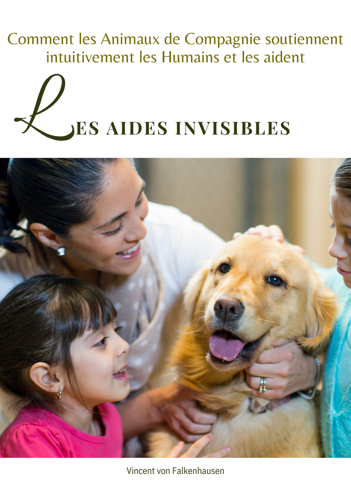 Les Aides Invisibles