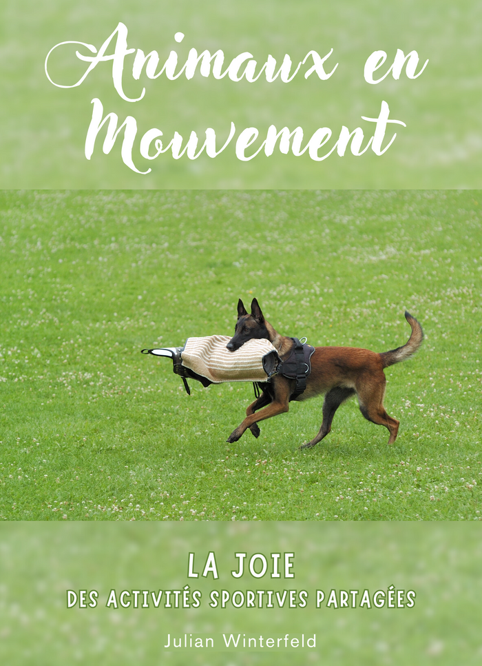 Animaux en mouvement