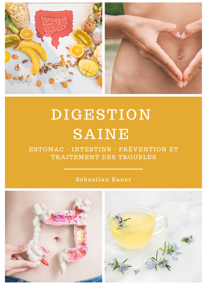 Digestion saine