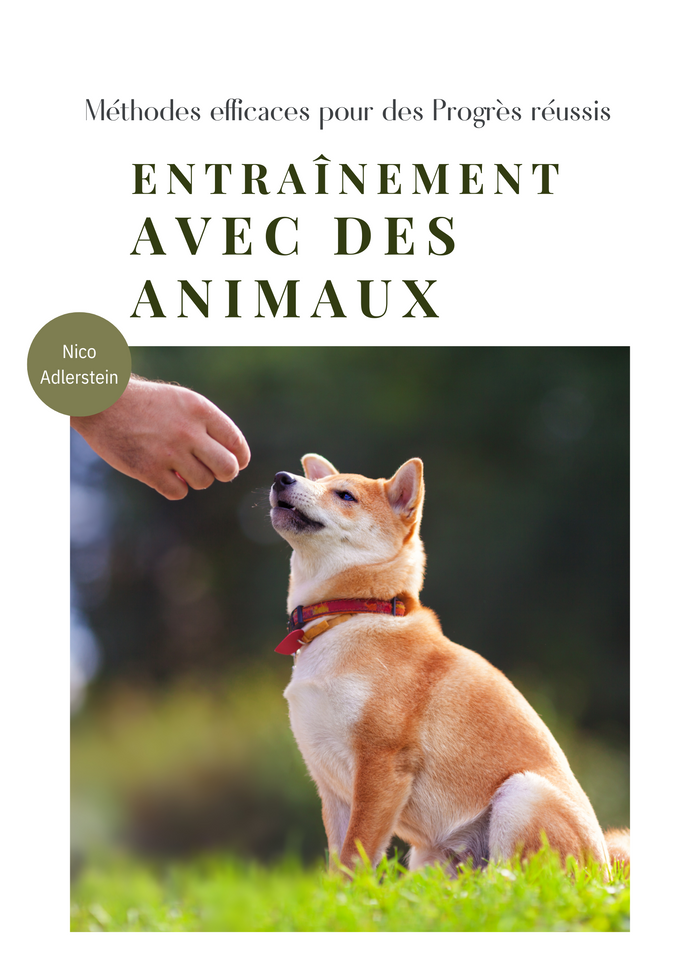 Entraînement avec des Animaux