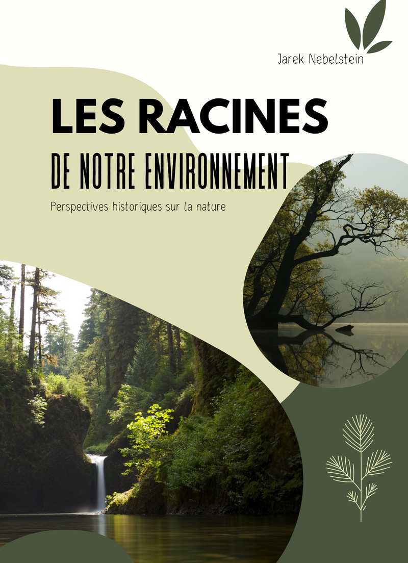 Les racines de notre environnement