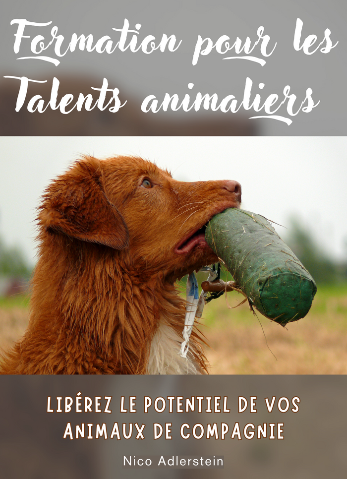 Formation pour les Talents animaliers