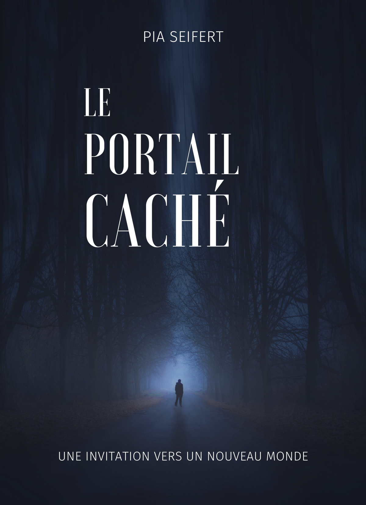 Le Portail Caché