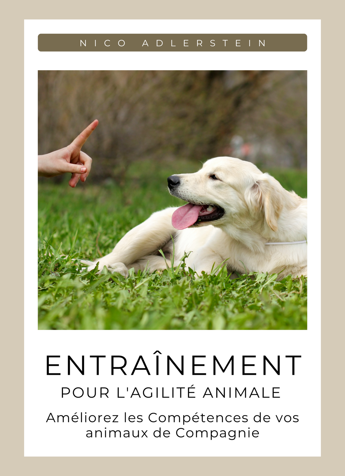 Entraînement pour l'Agilité animale