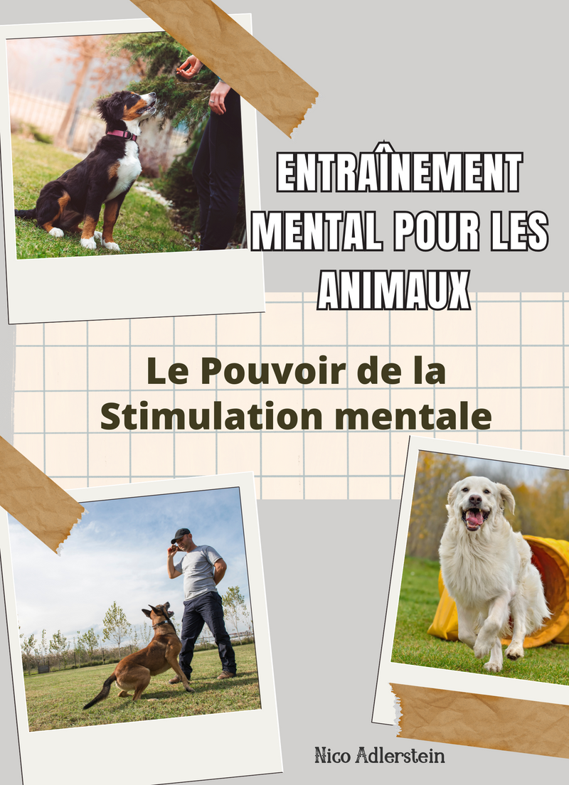 Entraînement mental pour les Animaux