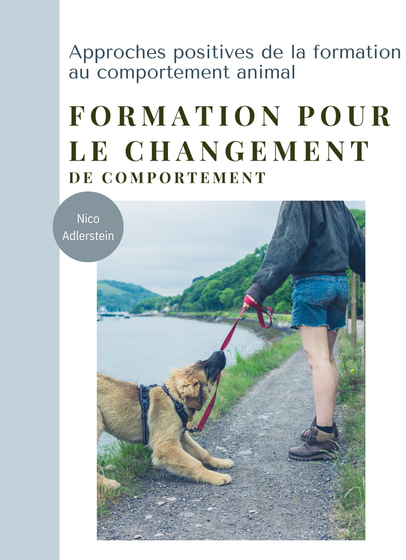 Formation pour le Changement de Comportement