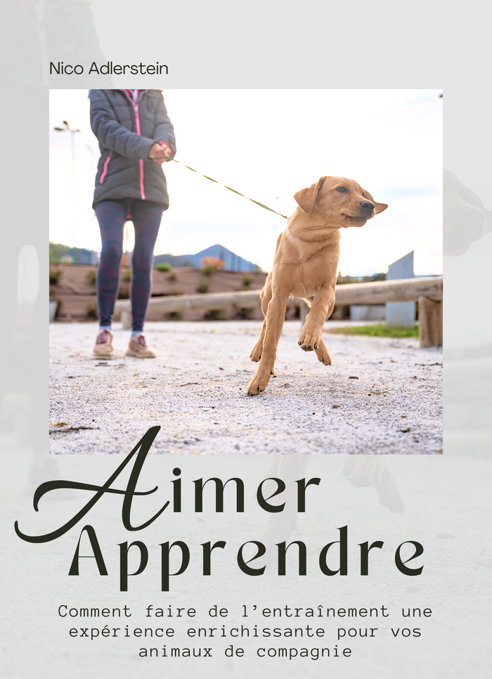 Aimer Apprendre