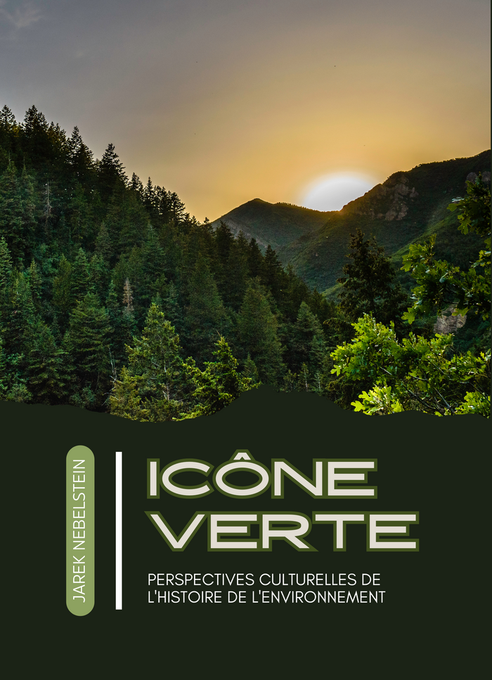 Icône verte