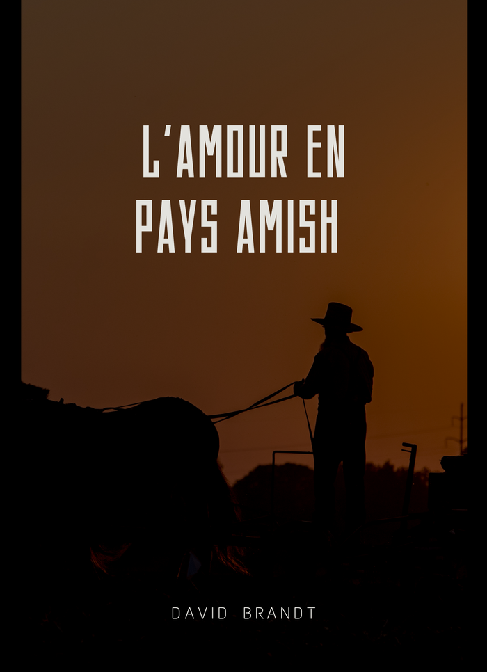 L'Amour en Pays Amish