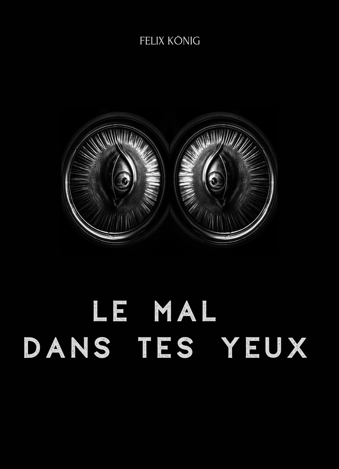 Thrillers de tueur en série Le Mal dans tes yeux