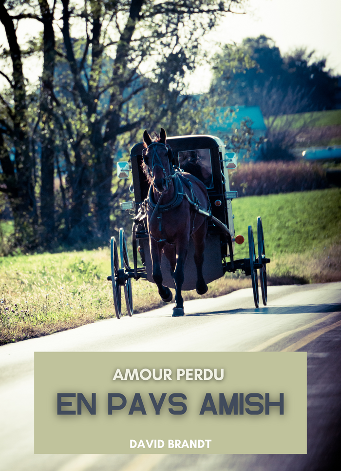 Amour perdu en Pays Amish