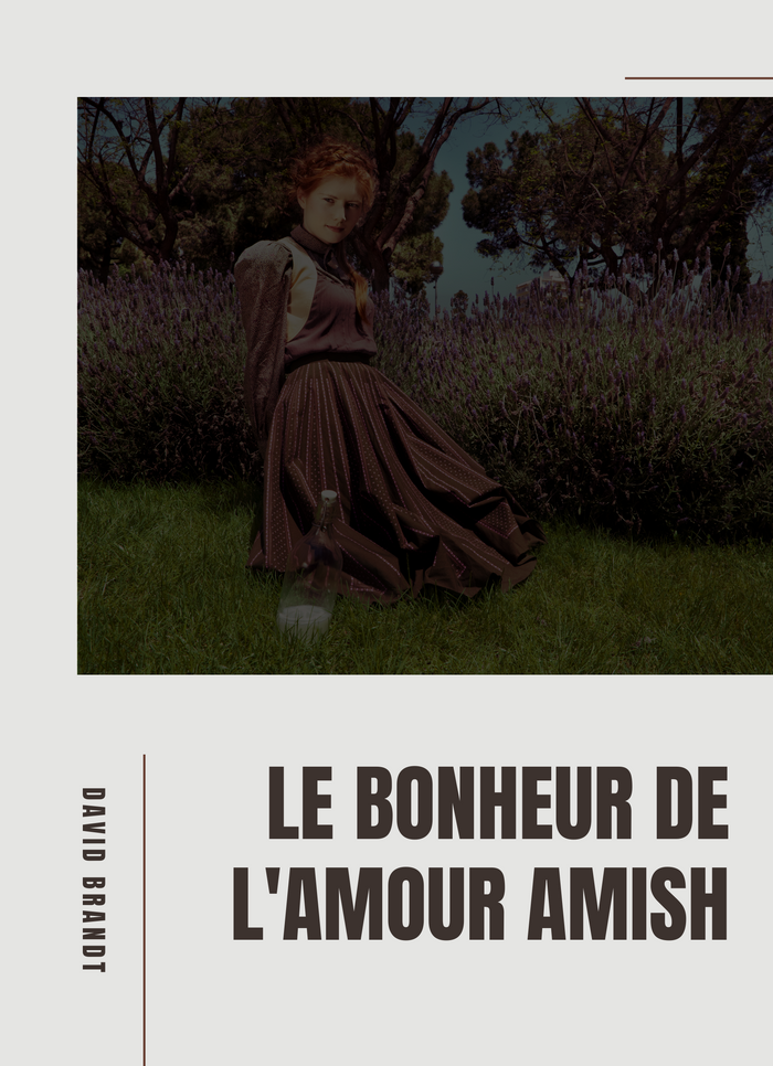 Le Bonheur de l'Amour Amish
