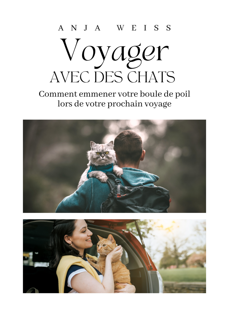 Voyager avec des Chats