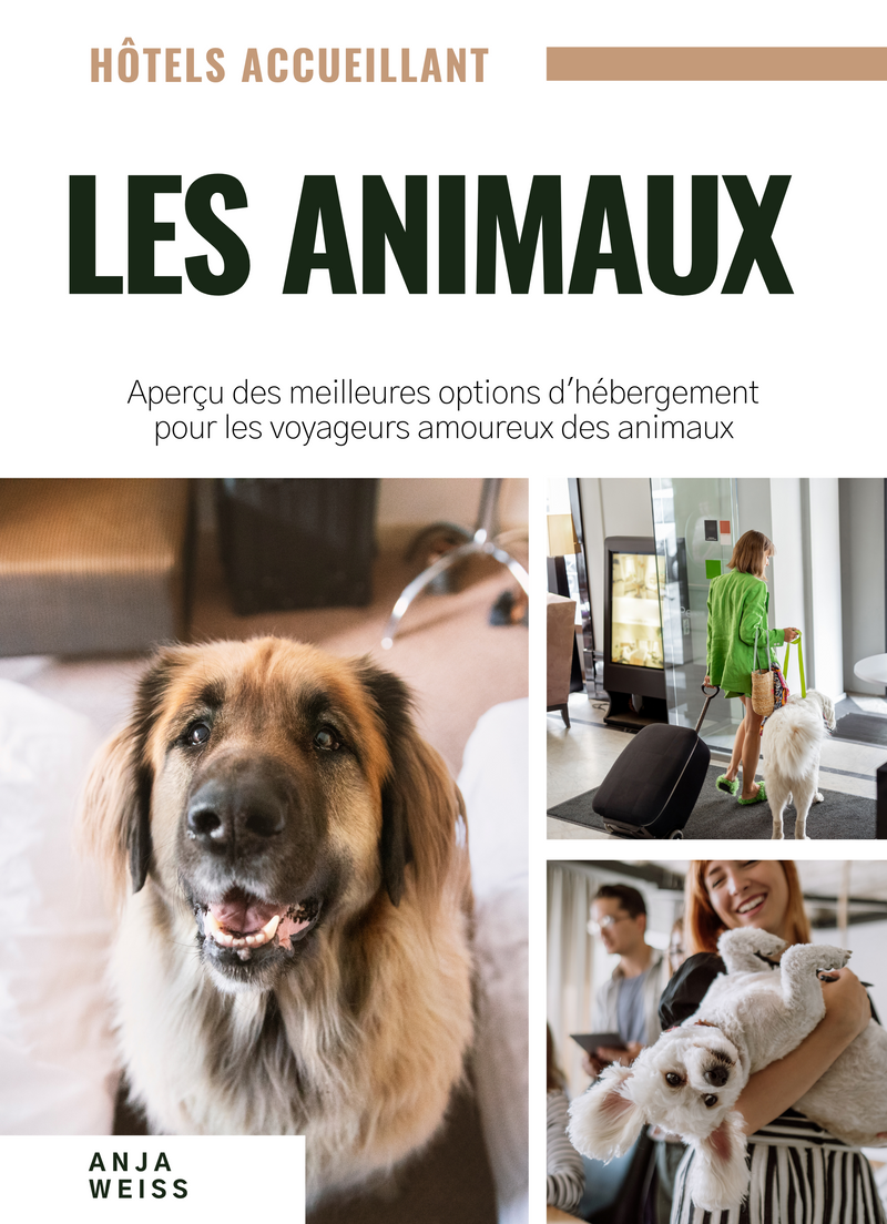 Hôtels accueillant les Animaux