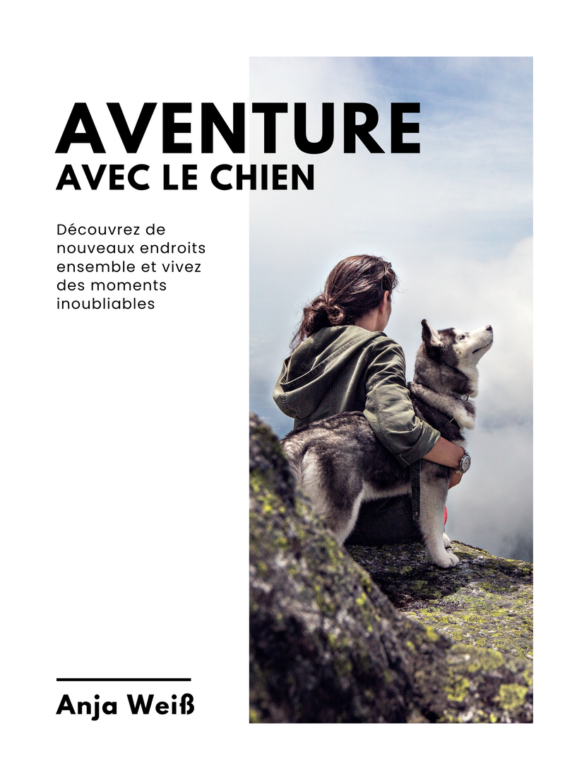 Aventure avec le Chien