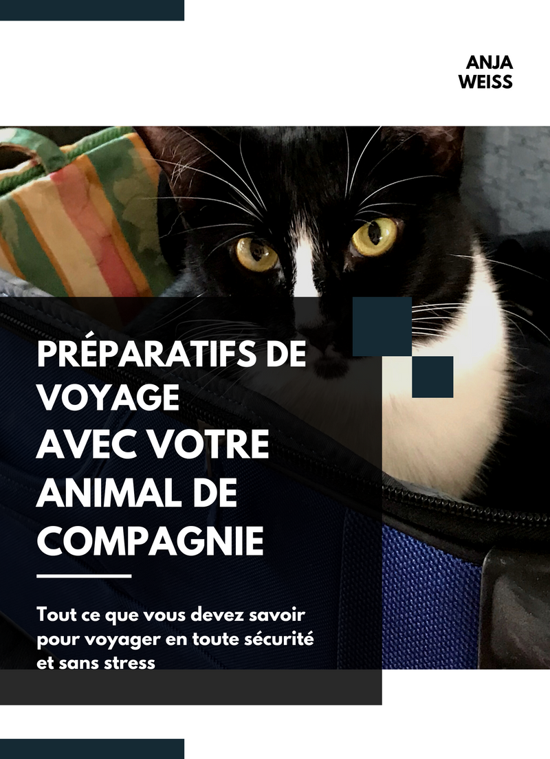 Préparatifs de Voyage avec votre Animal de Compagnie