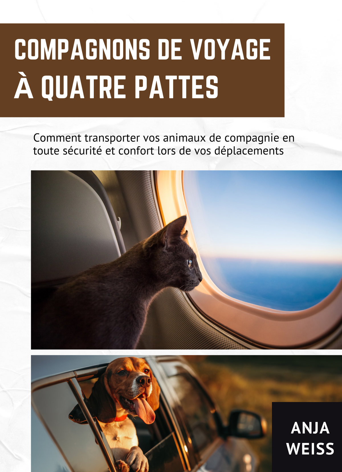 Compagnons de Voyage à quatre Pattes