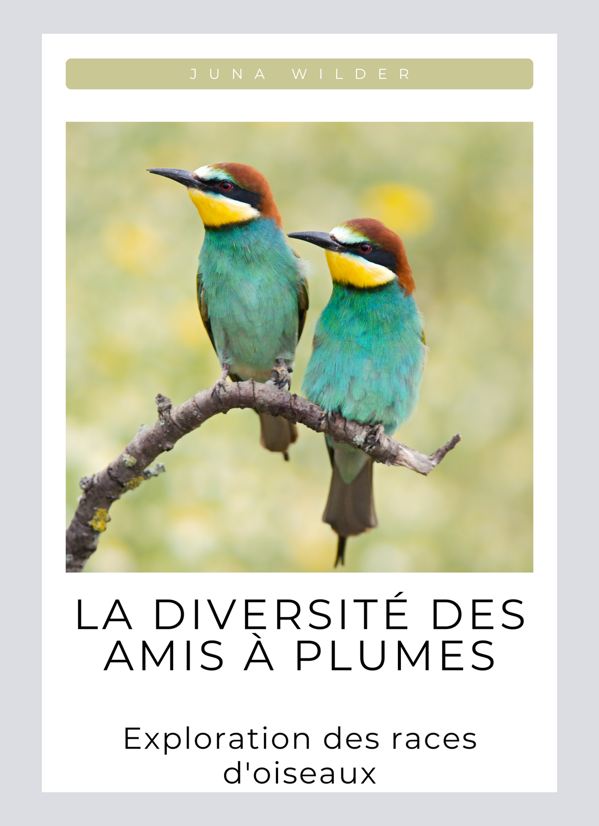 La diversité des amis à plumes