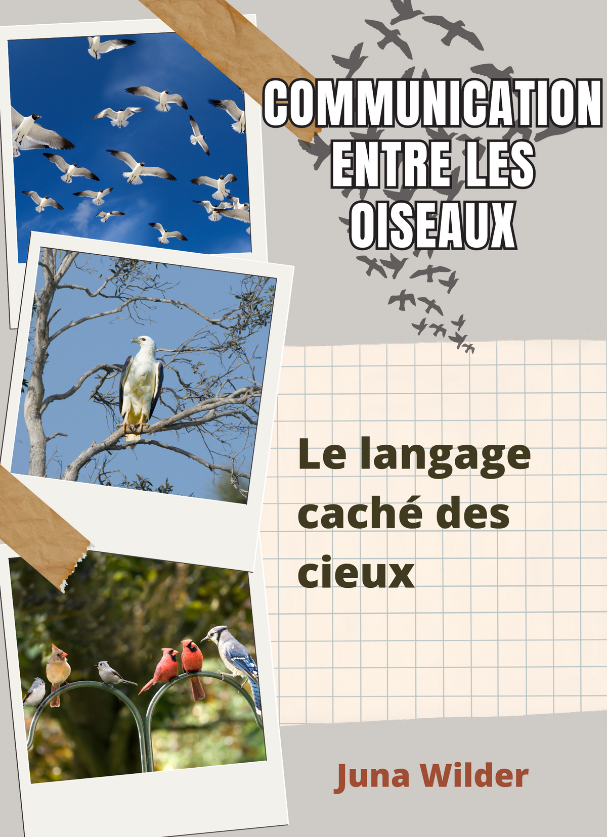 Communication entre les oiseaux