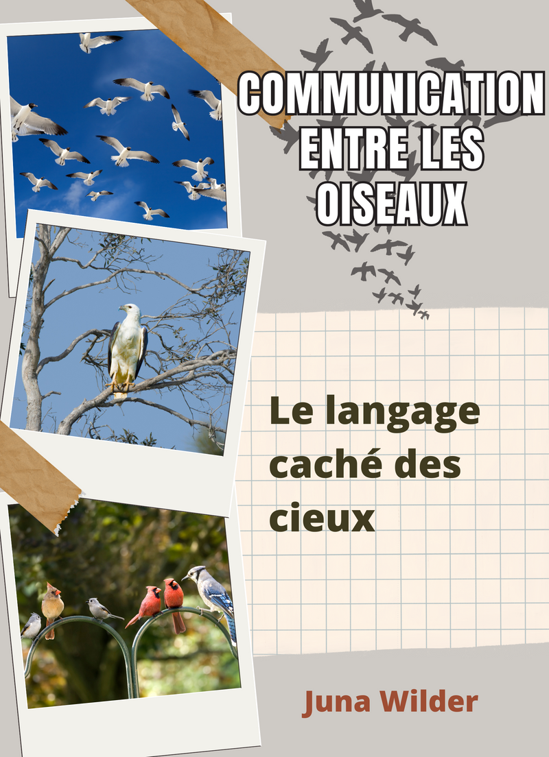 Communication entre les oiseaux
