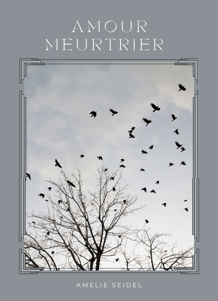 Amour Meurtrier