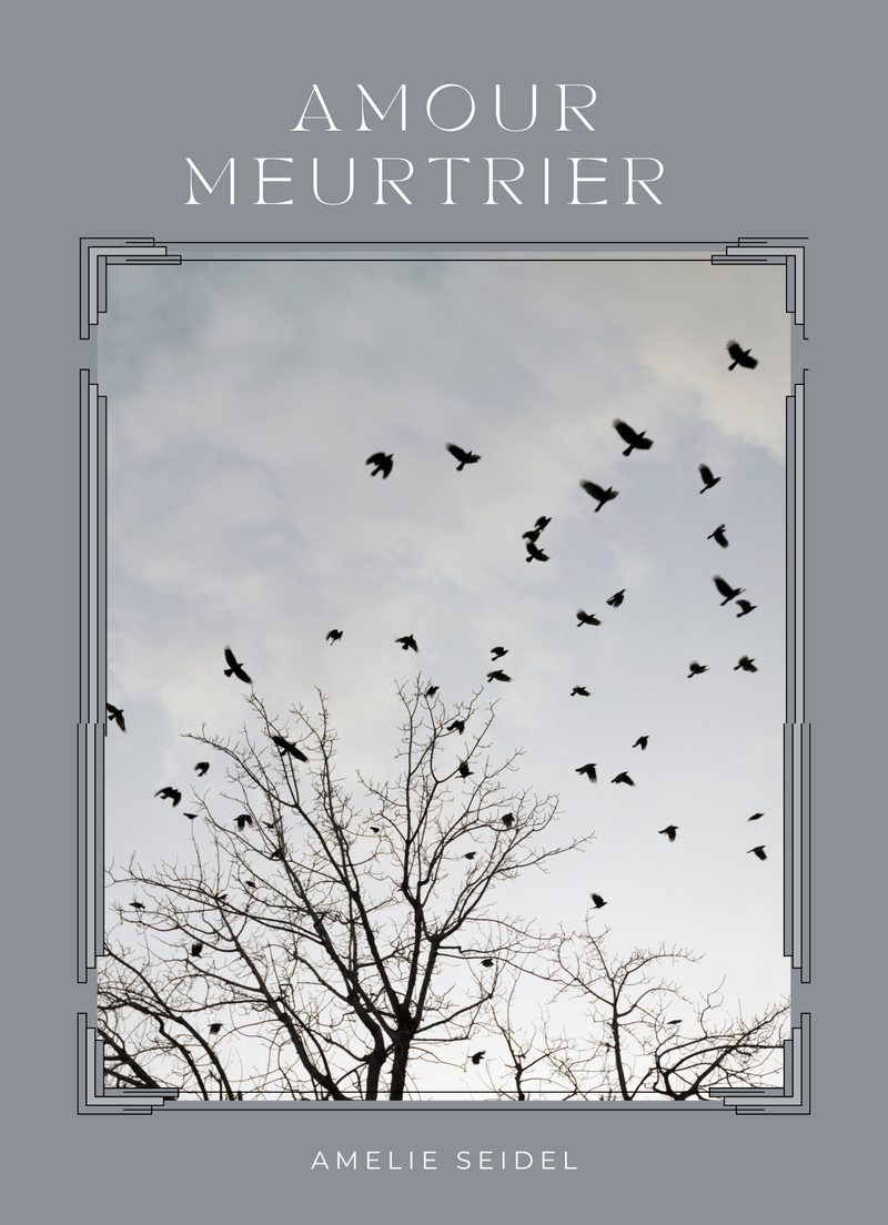 Amour Meurtrier