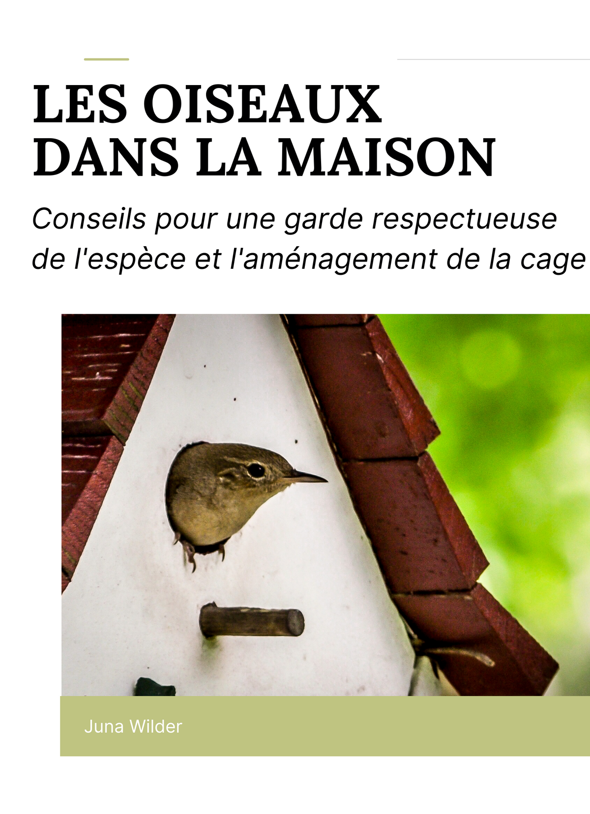 Les oiseaux dans la maison