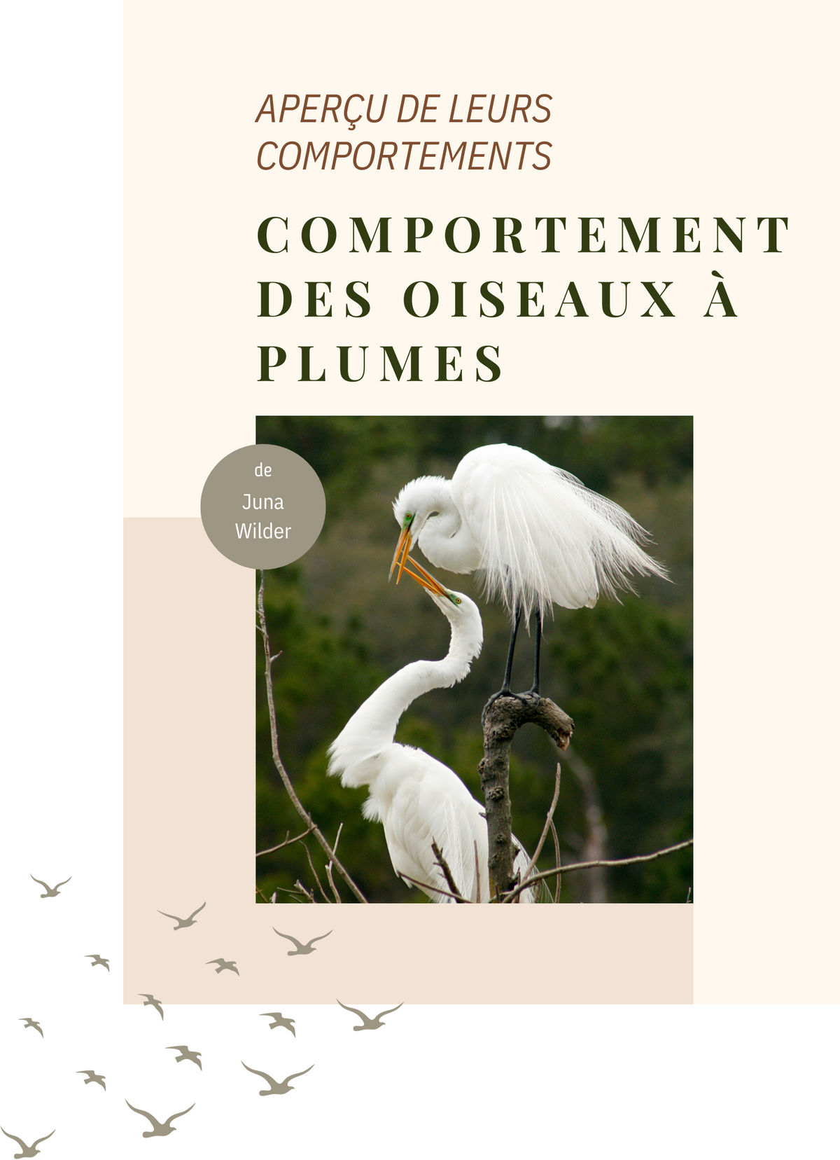 Comportement des oiseaux à plumes