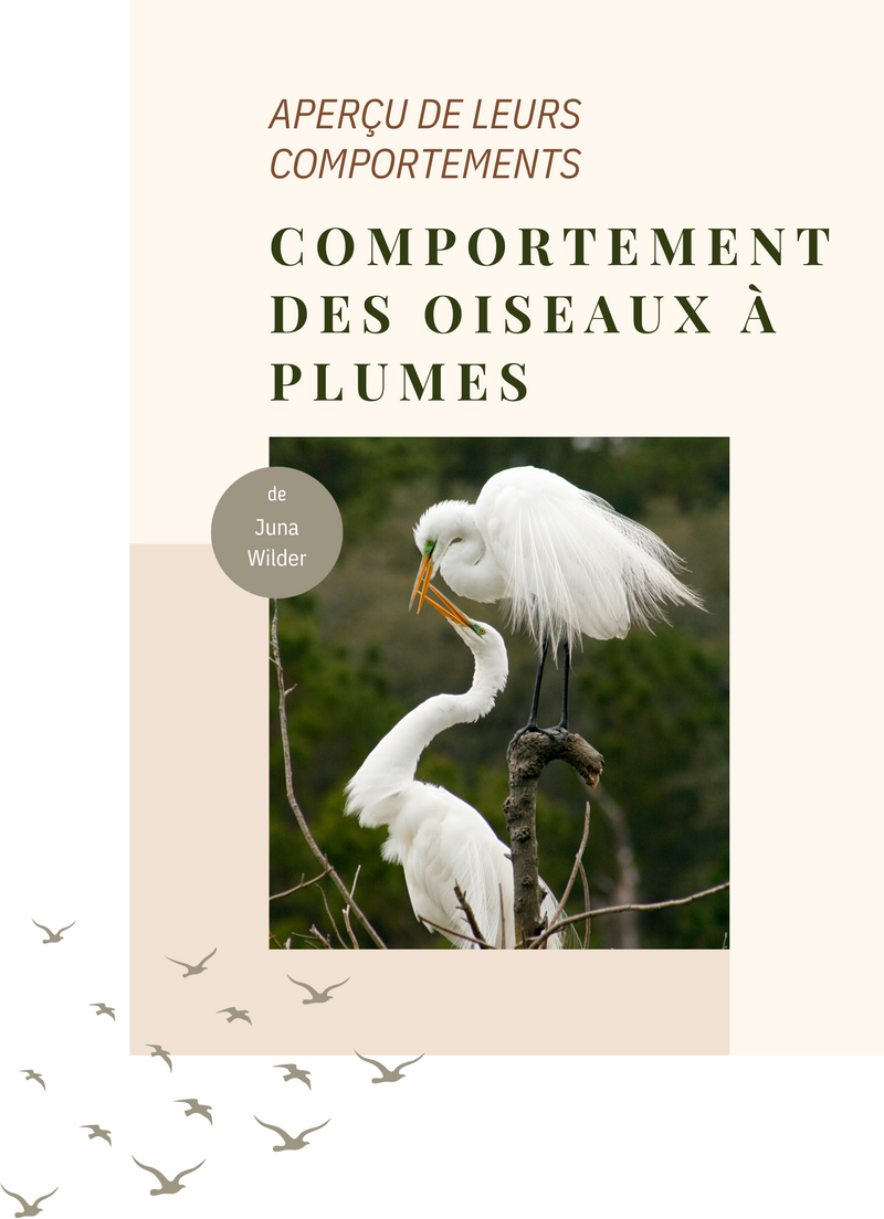 Comportement des oiseaux à plumes