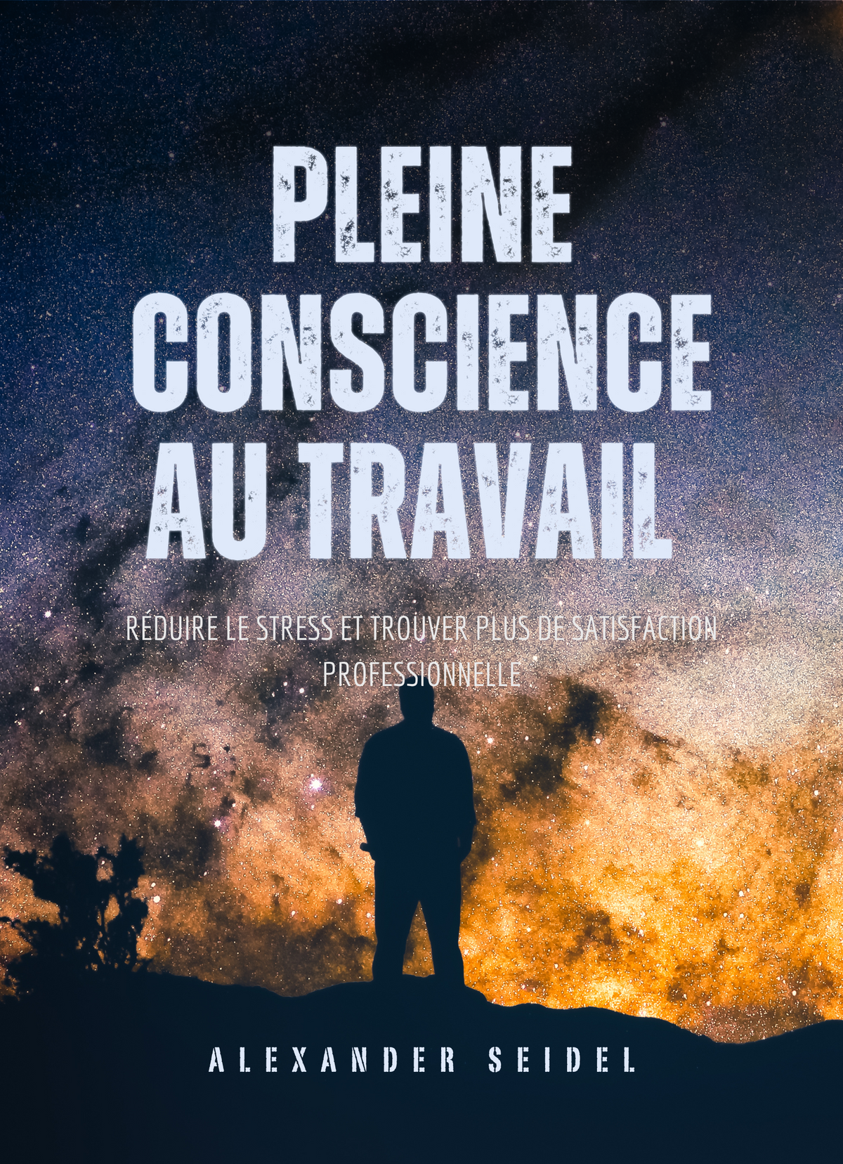Pleine Conscience au Travail