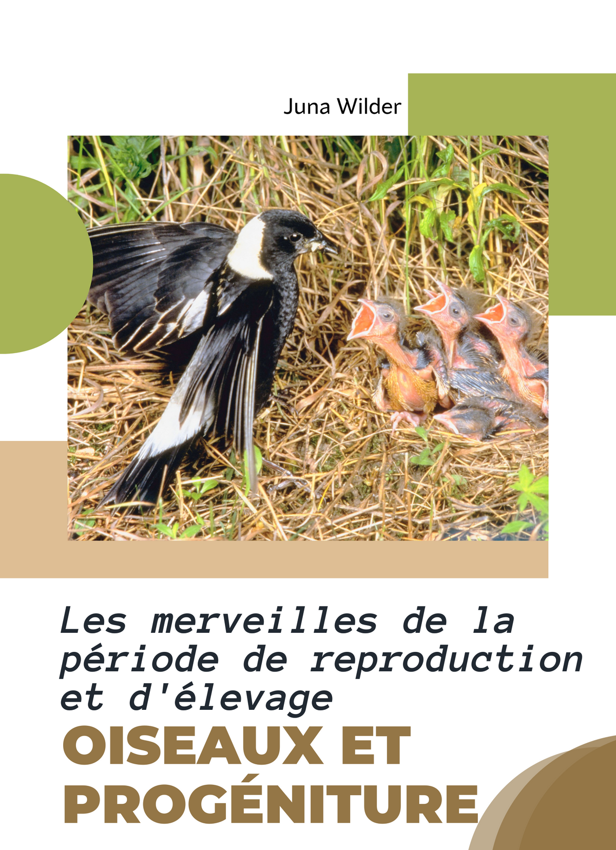 Oiseaux et progéniture