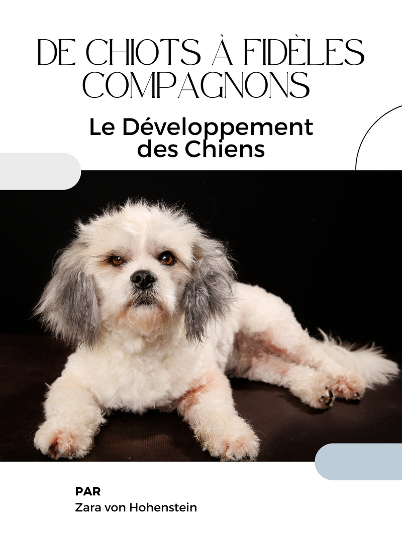 De Chiots à Fidèles compagnons