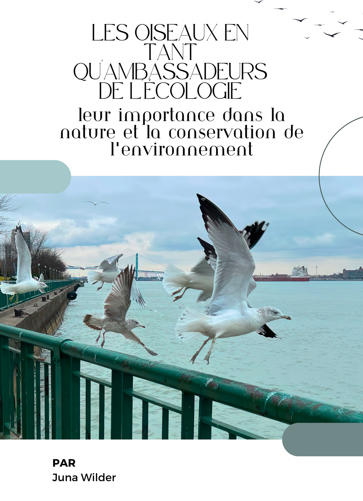 Les oiseaux en tant qu'ambassadeurs de l'écologie