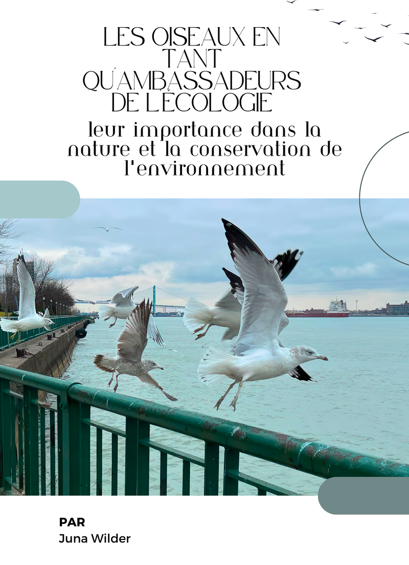 Les oiseaux en tant qu'ambassadeurs de l'écologie