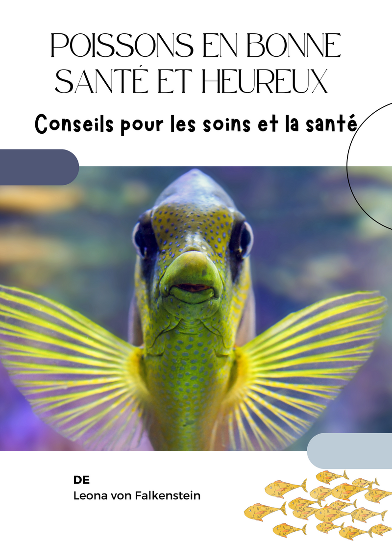 Poissons en bonne santé et heureux