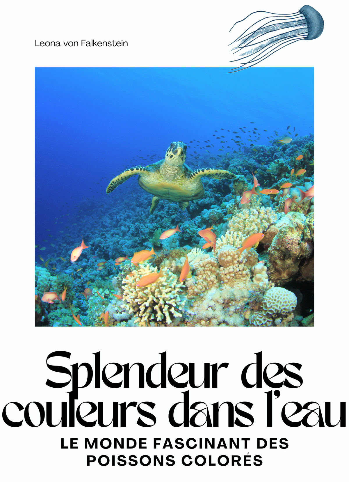 Splendeur des couleurs dans l'eau