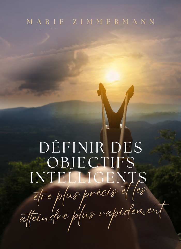 Définir des Objectifs Intelligents