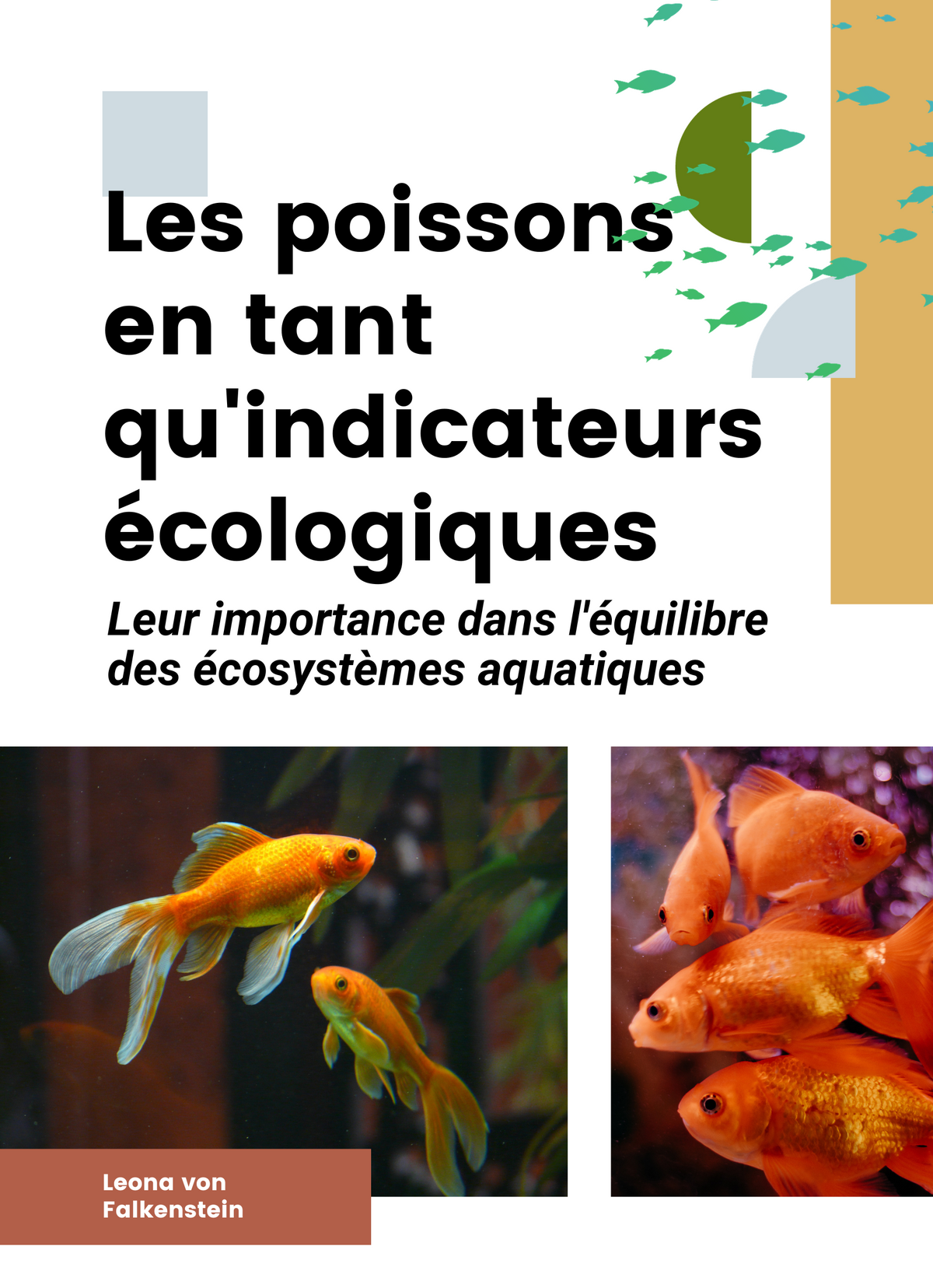 Les poissons en tant qu'indicateurs écologiques