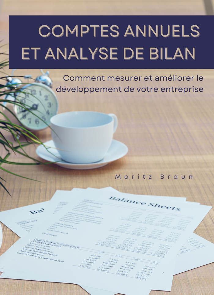 Comptes Annuels et Analyse de Bilan
