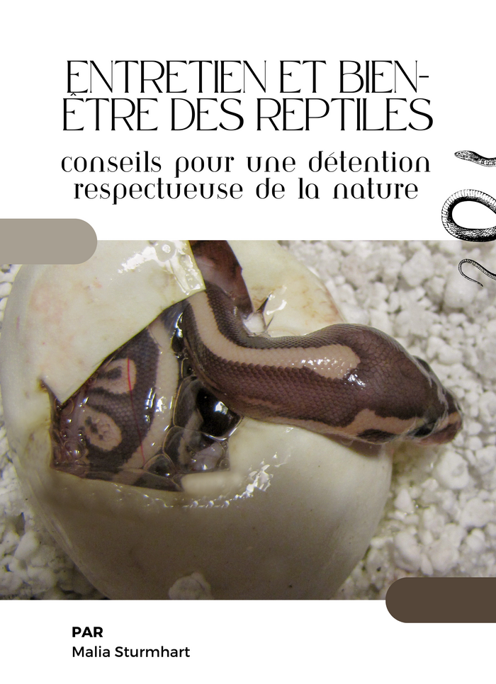 Entretien et bien-être des reptiles