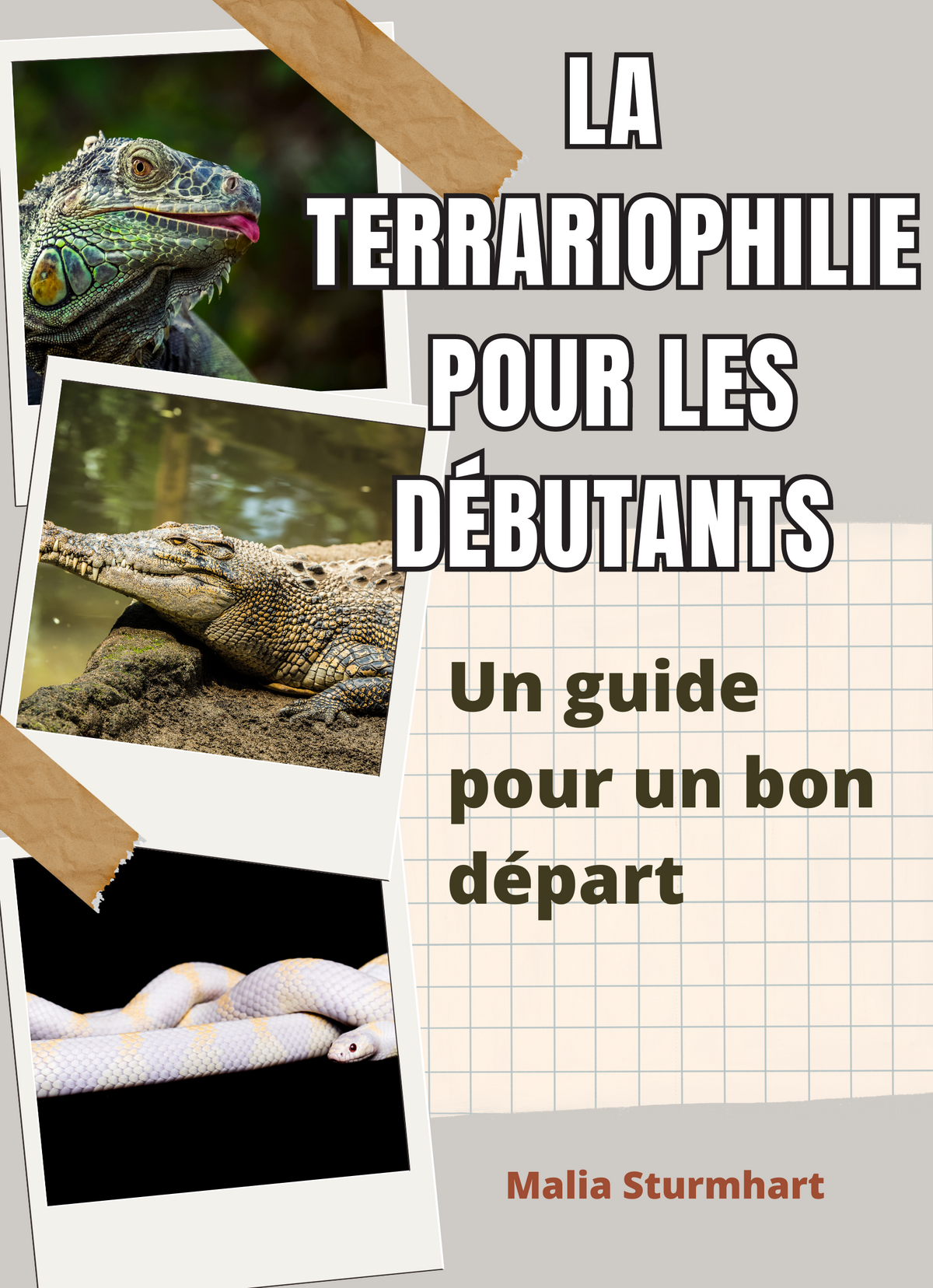 La terrariophilie pour les débutants