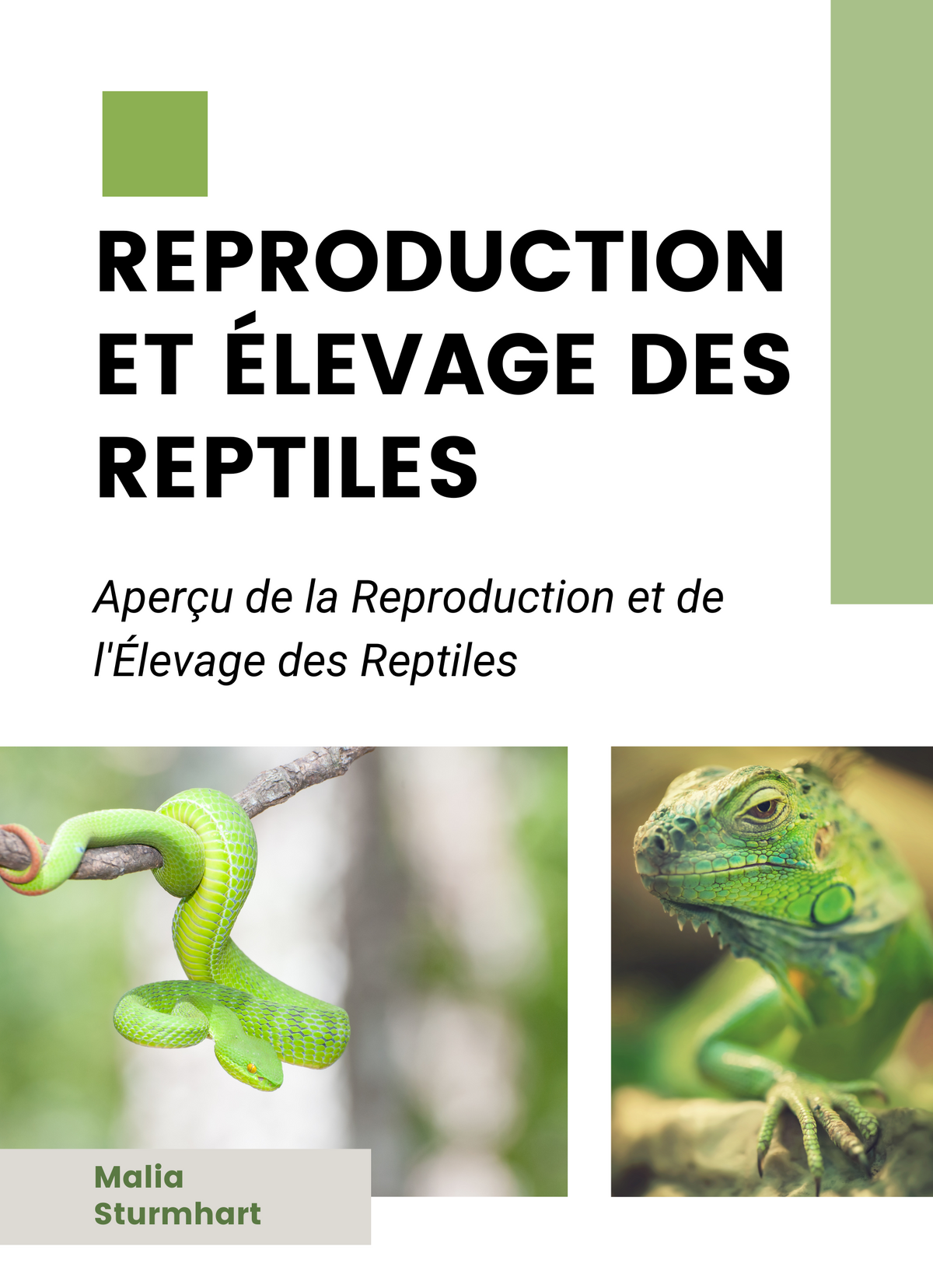 Reproduction et Élevage des Reptiles