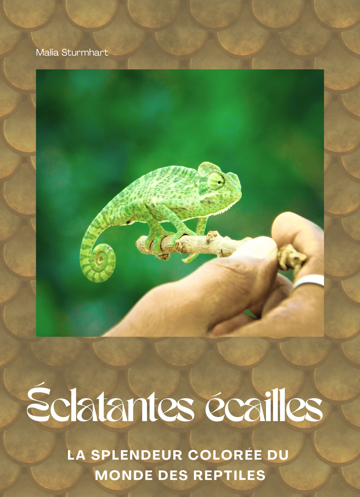 Éclatantes écailles