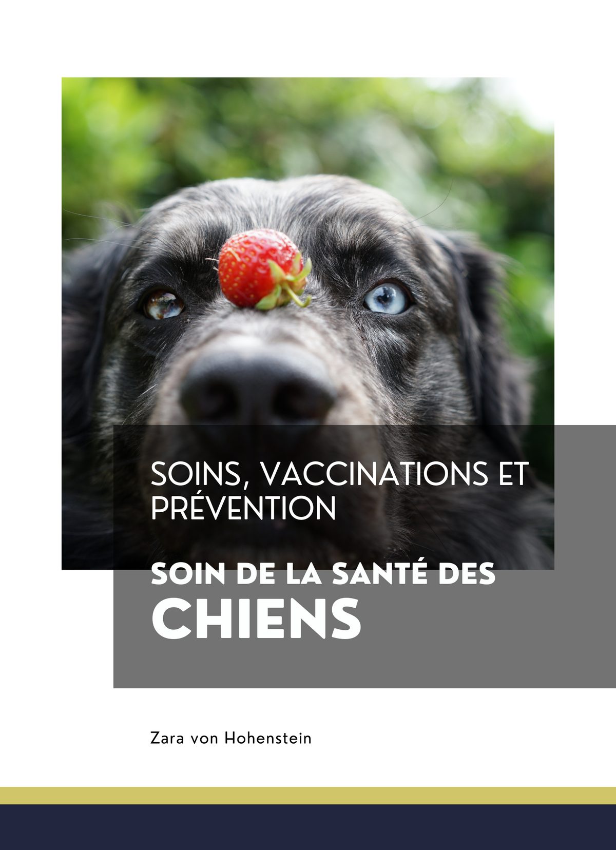 Soin de la Santé des Chiens
