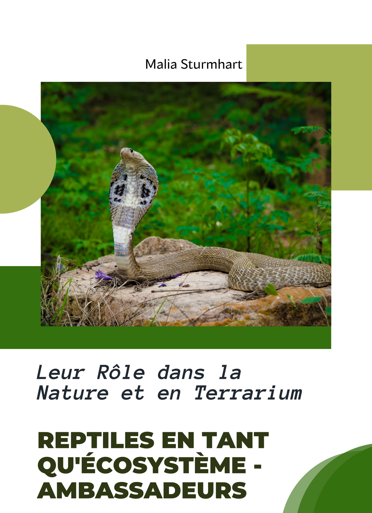 Reptiles en tant qu'Écosystème - Ambassadeurs