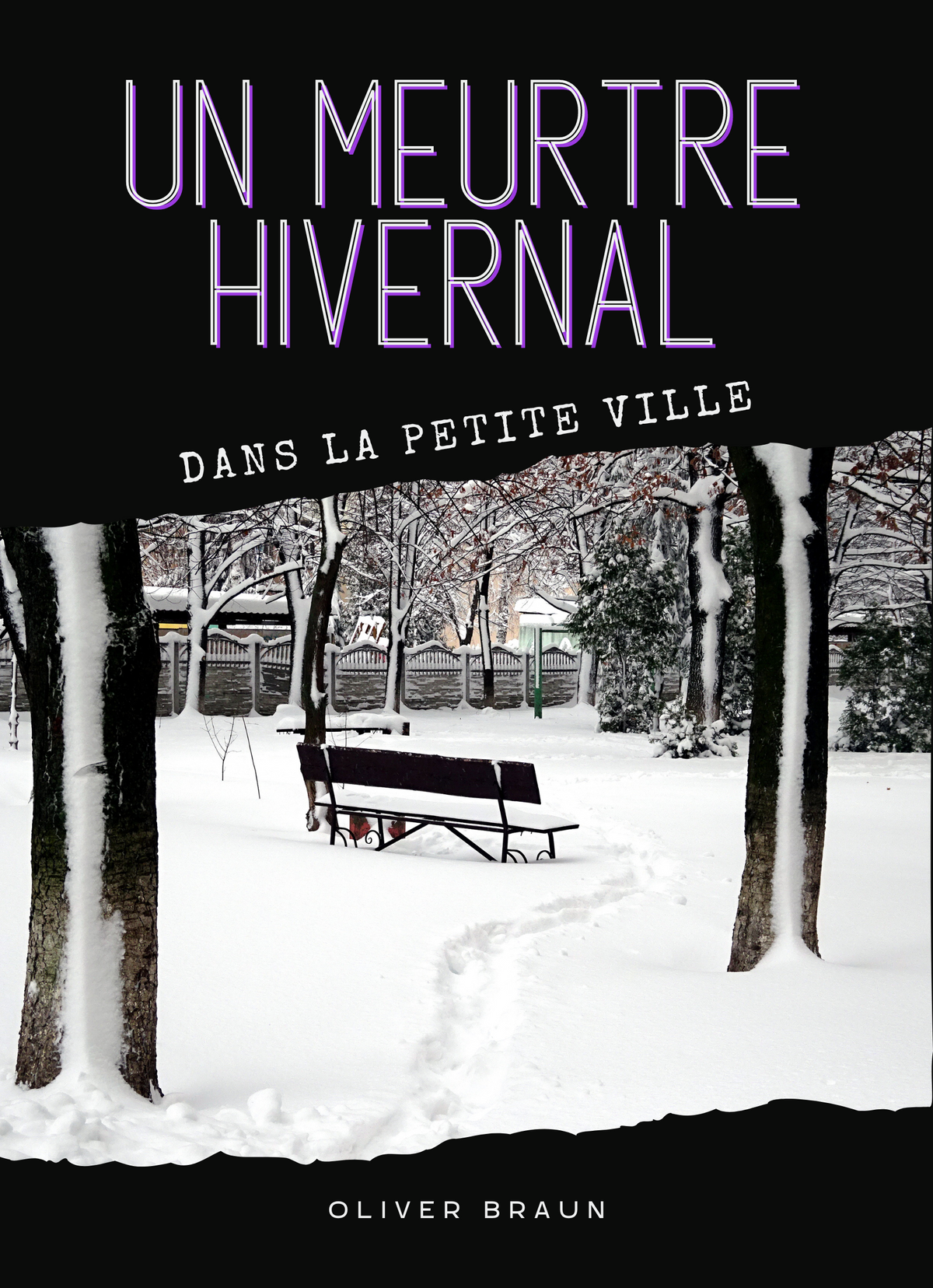 Un meurtre hivernal dans la petite ville